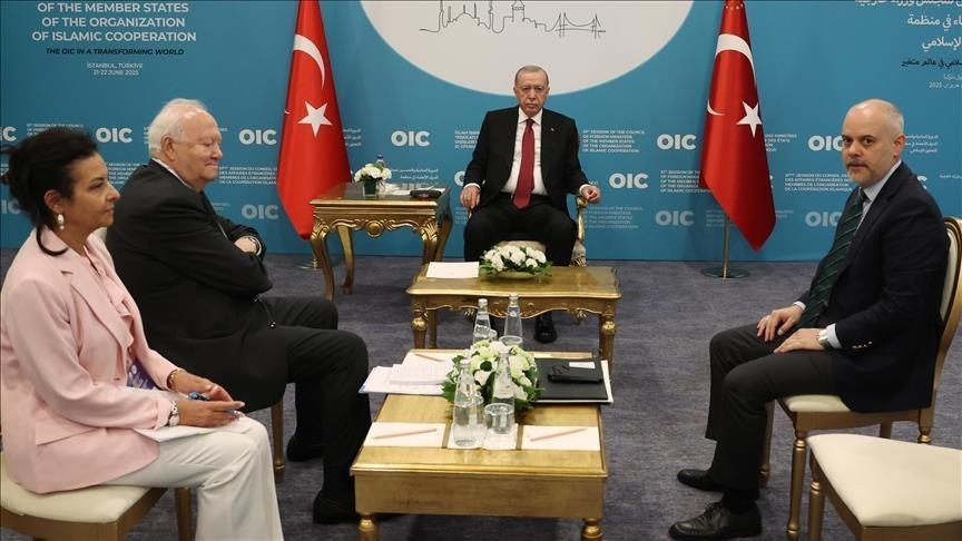 Erdoğan receives UN high representative, Qatari premier in Istanbul