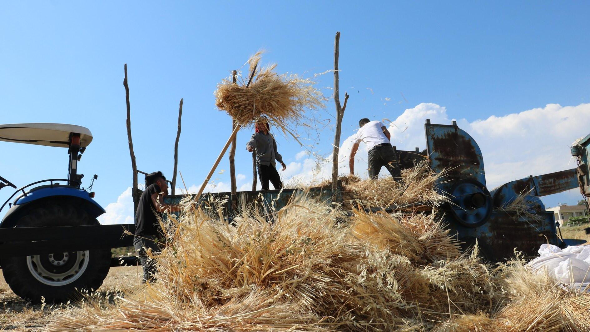 Sweeping agricultural census to commence in July