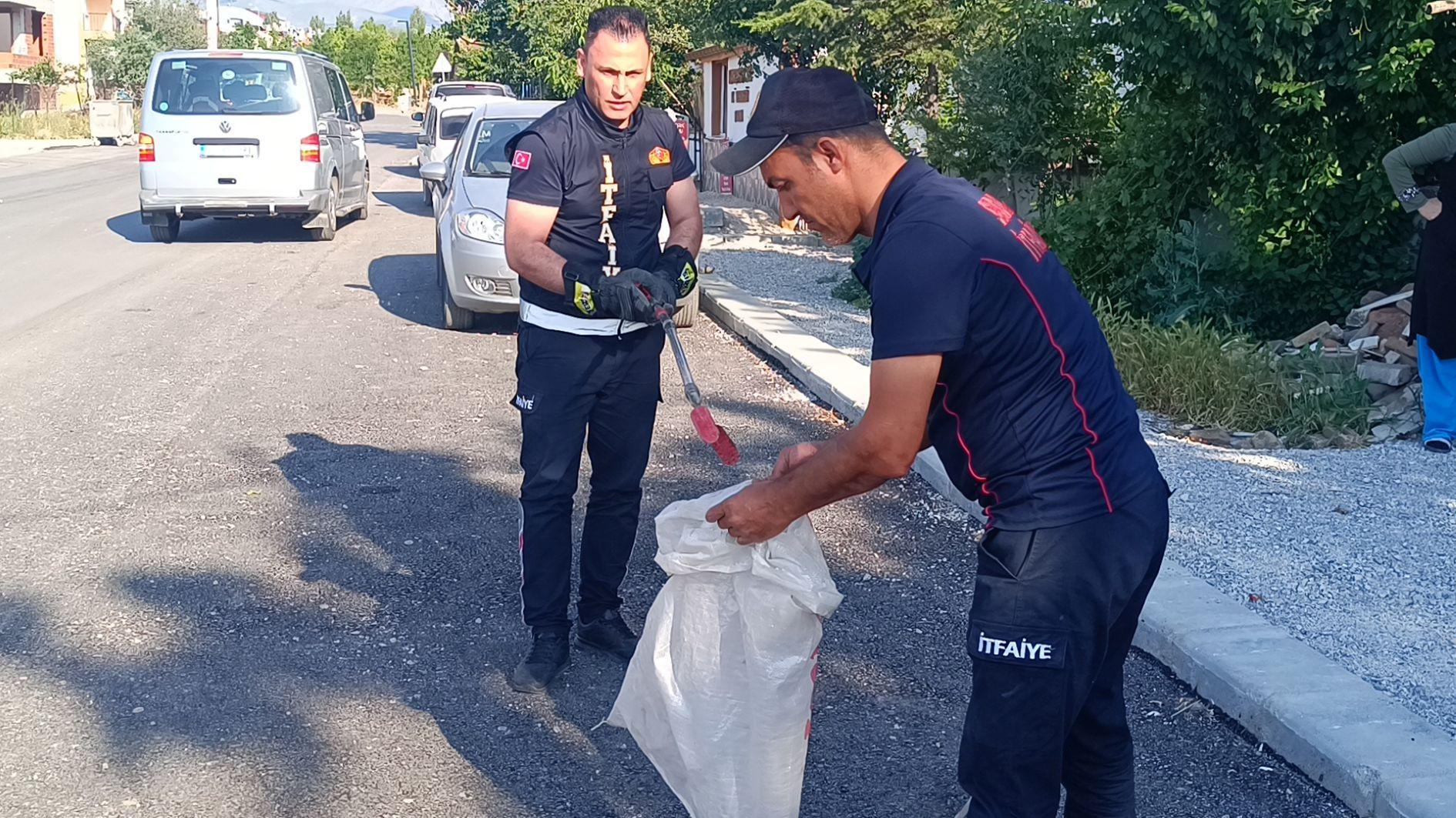 Snake sightings on rise in Istanbul as experts urge calm