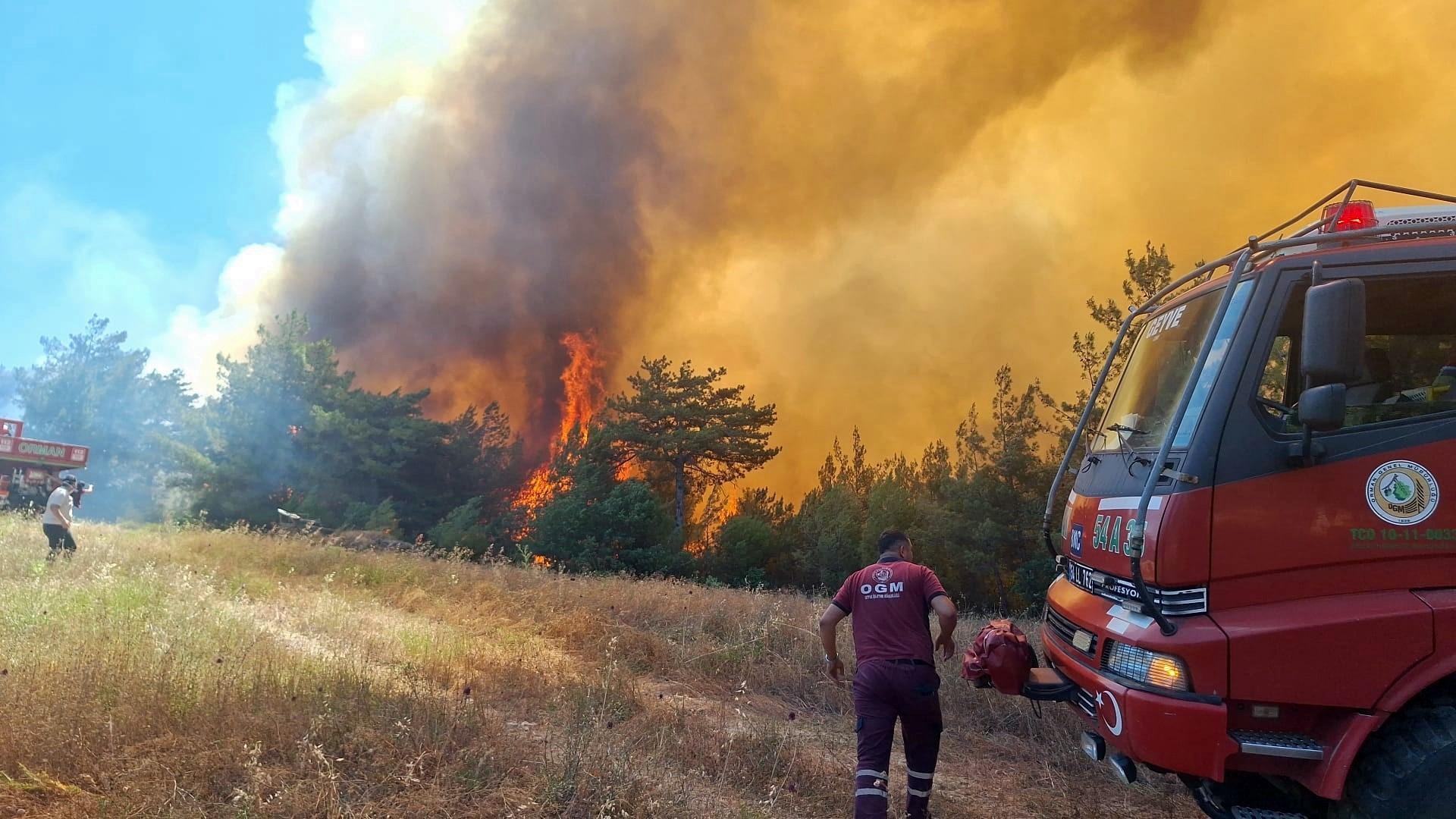 Türkiye battles several wildfires as heatwave fuels rapid spread