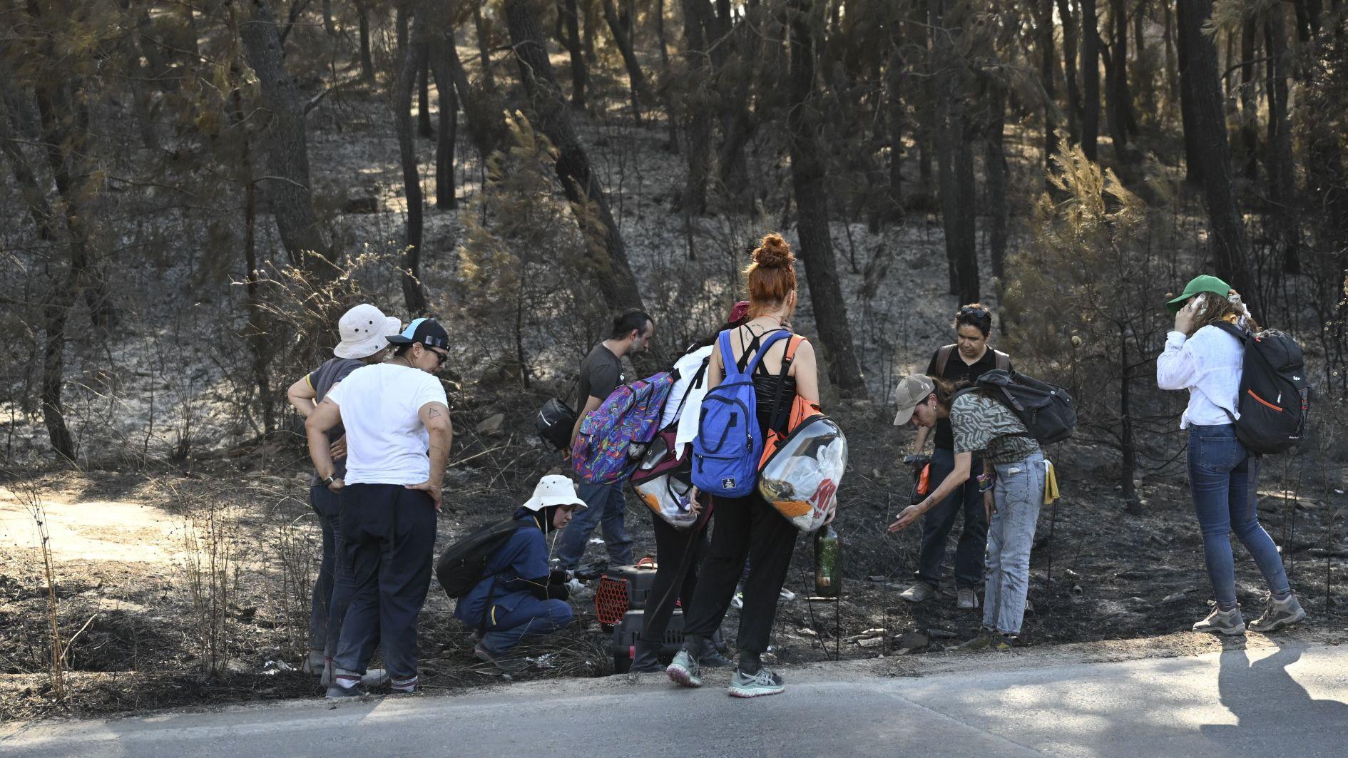 Volunteers save injured animals among ashes after İzmir wildfires