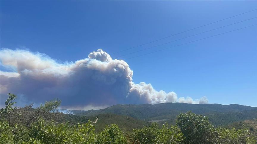 Türkiye sends assistance to Syria amid wildfires