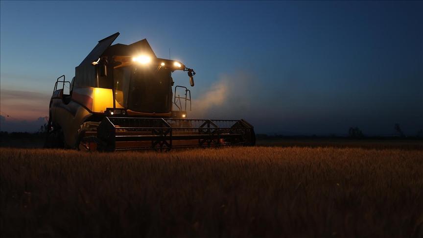 Farmers in Thrace turn to nighttime wheat harvests amid extreme heat