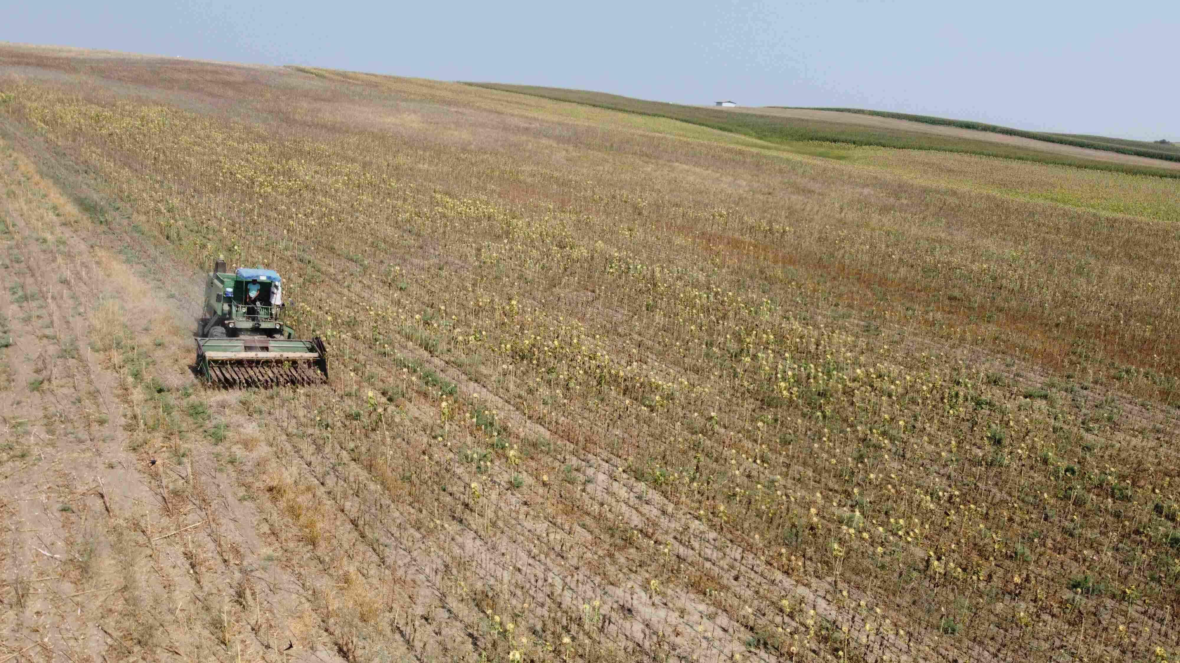 Farmers struggle amid most severe drought in 65 years