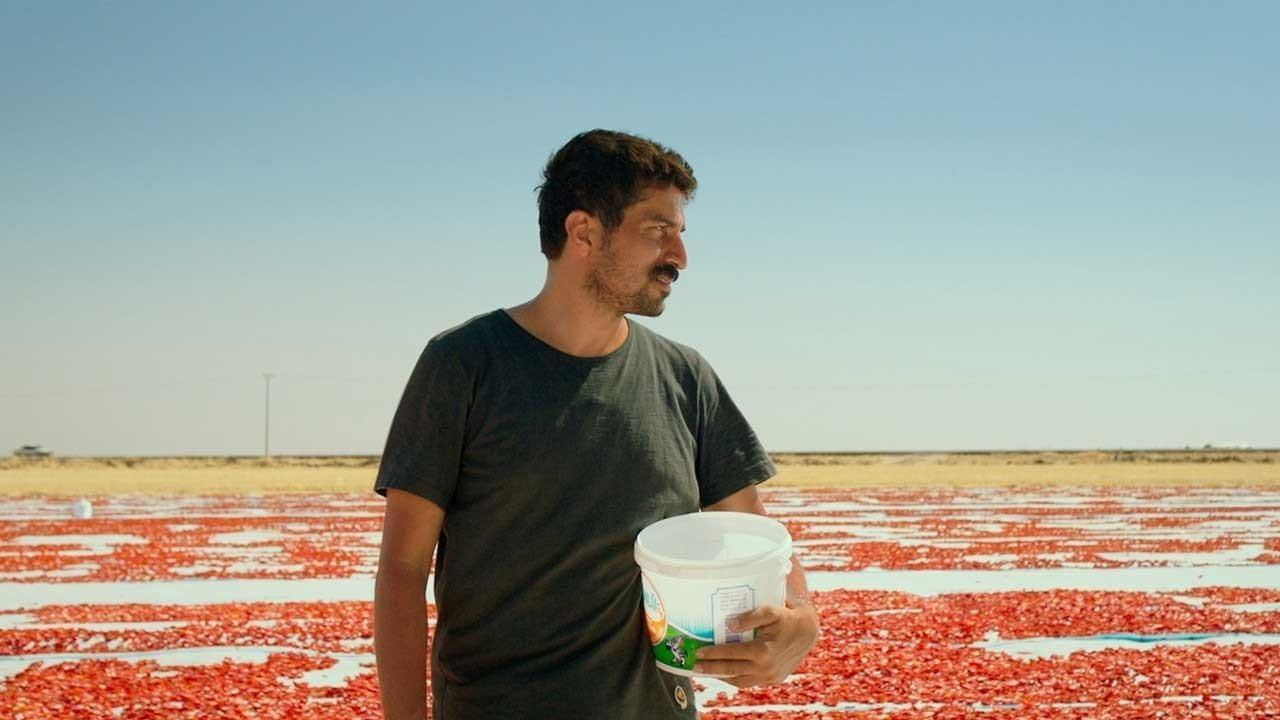 Türkiye announces Oscar entry