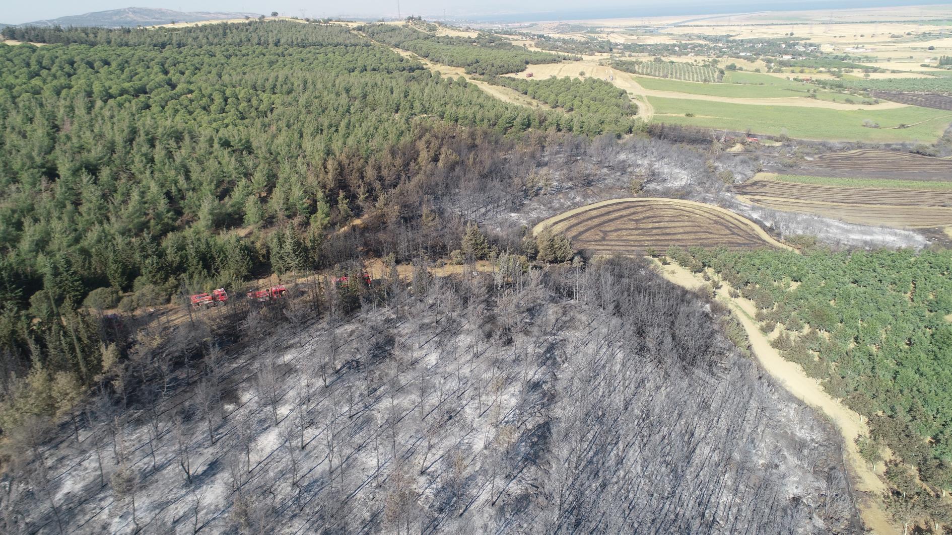 Wildfire in Tekirdağ under control after forcing 1,300 to evacuate