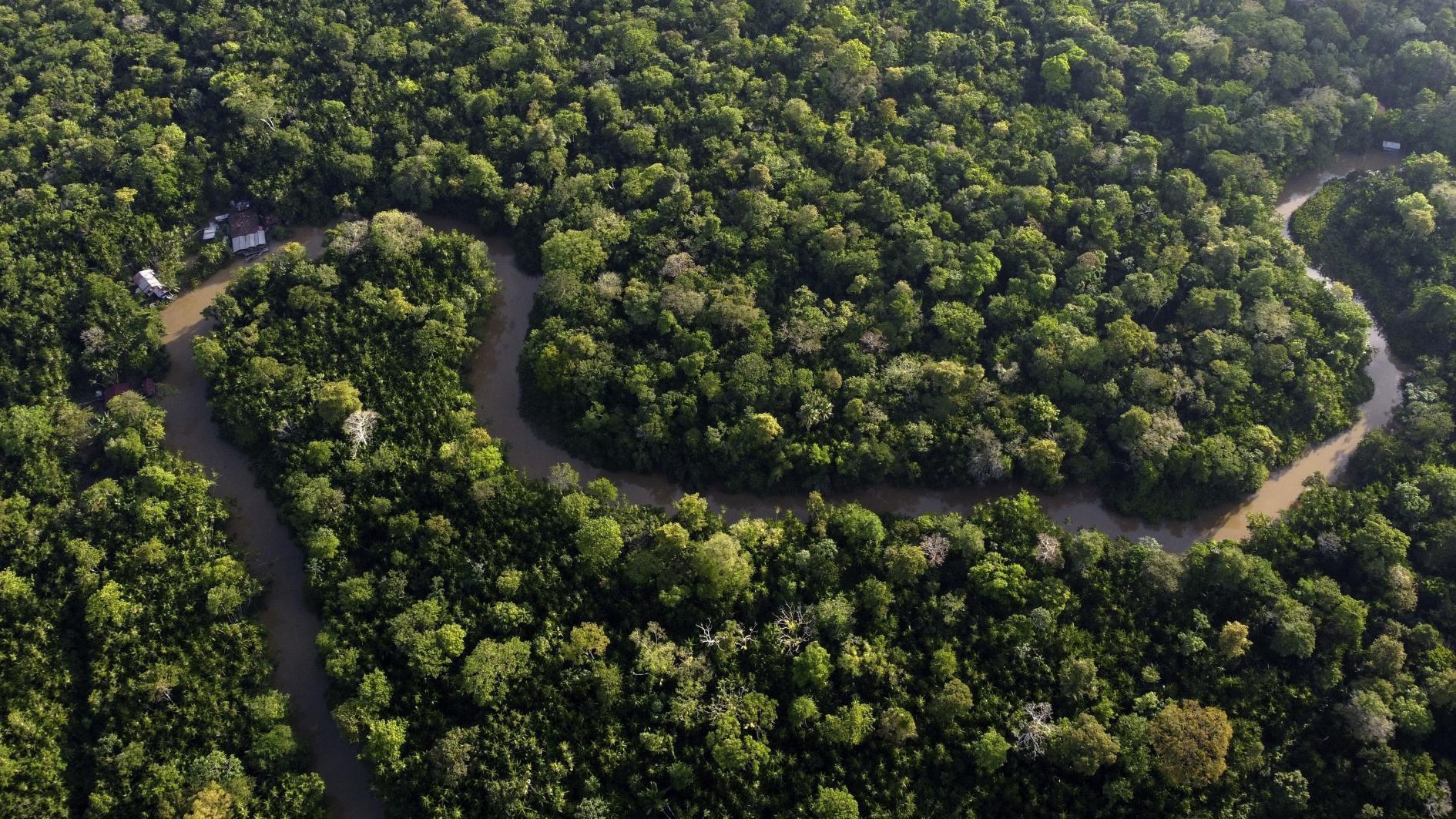 Brazil scrambles for rooms to host COP30 in Amazon