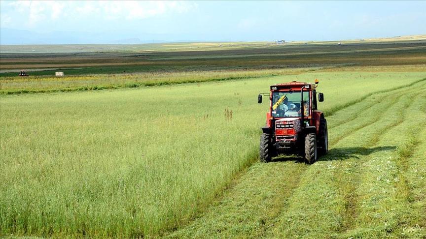 Agricultural input prices rose sharply in May: TÜİK data