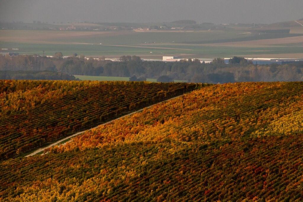 France jails 3 in champagne human trafficking case