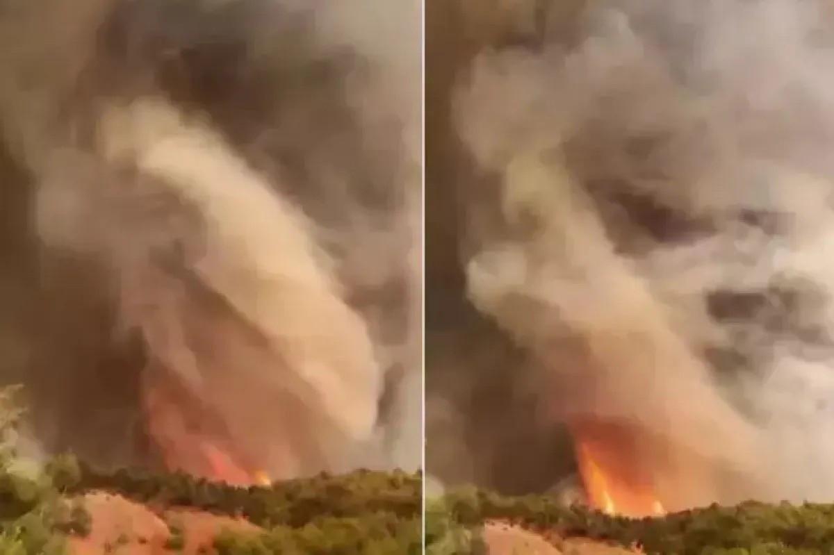Fire whirl captured amid raging blaze in northwestern Türkiye
