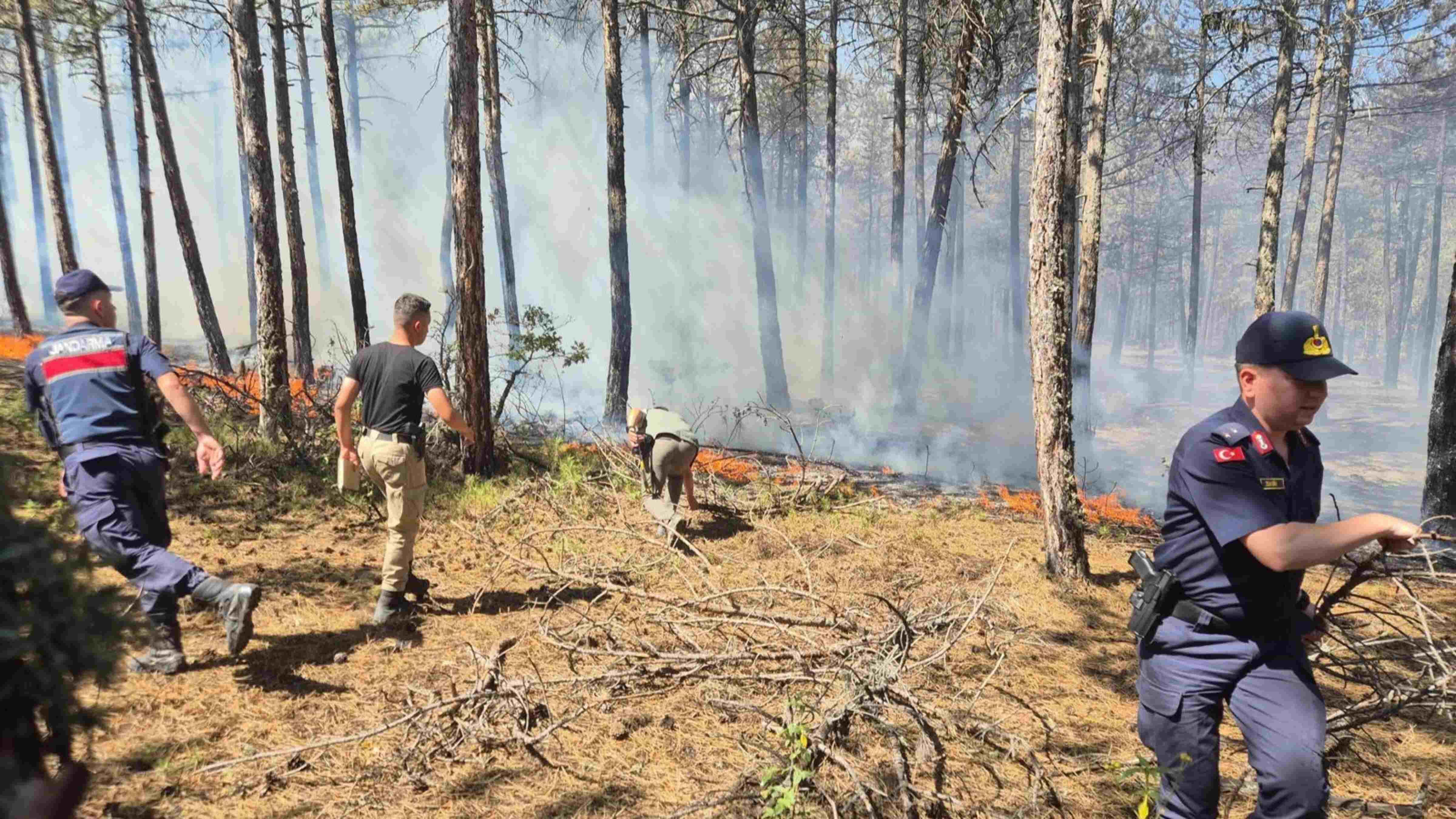 Wildfire kills 10 workers battling blaze in Eskişehir