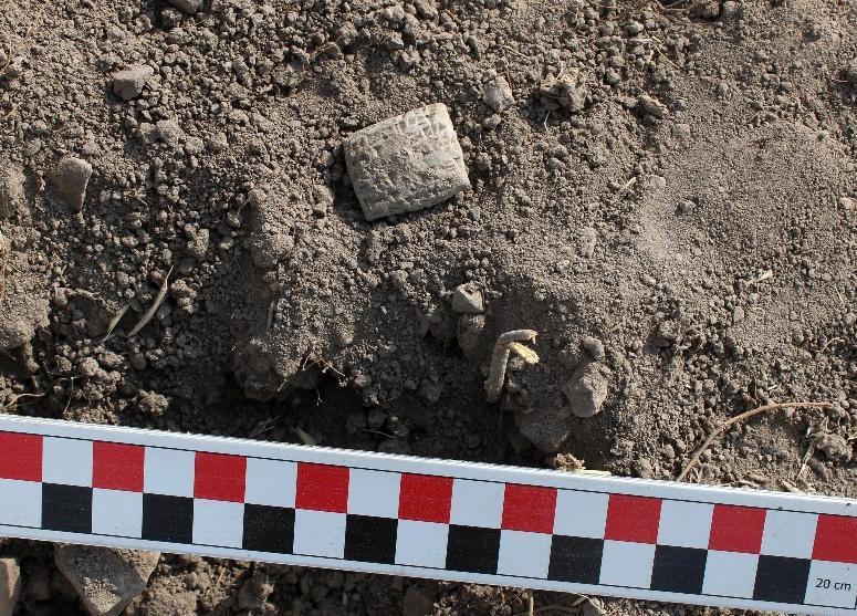 Ancient Hittite bird divination tablet unearthed in Central Türkiye