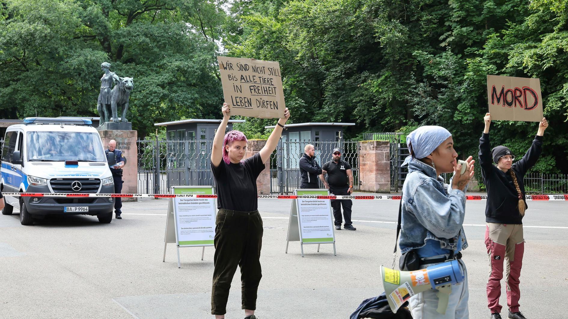 Protesters break into German zoo which culled baboons