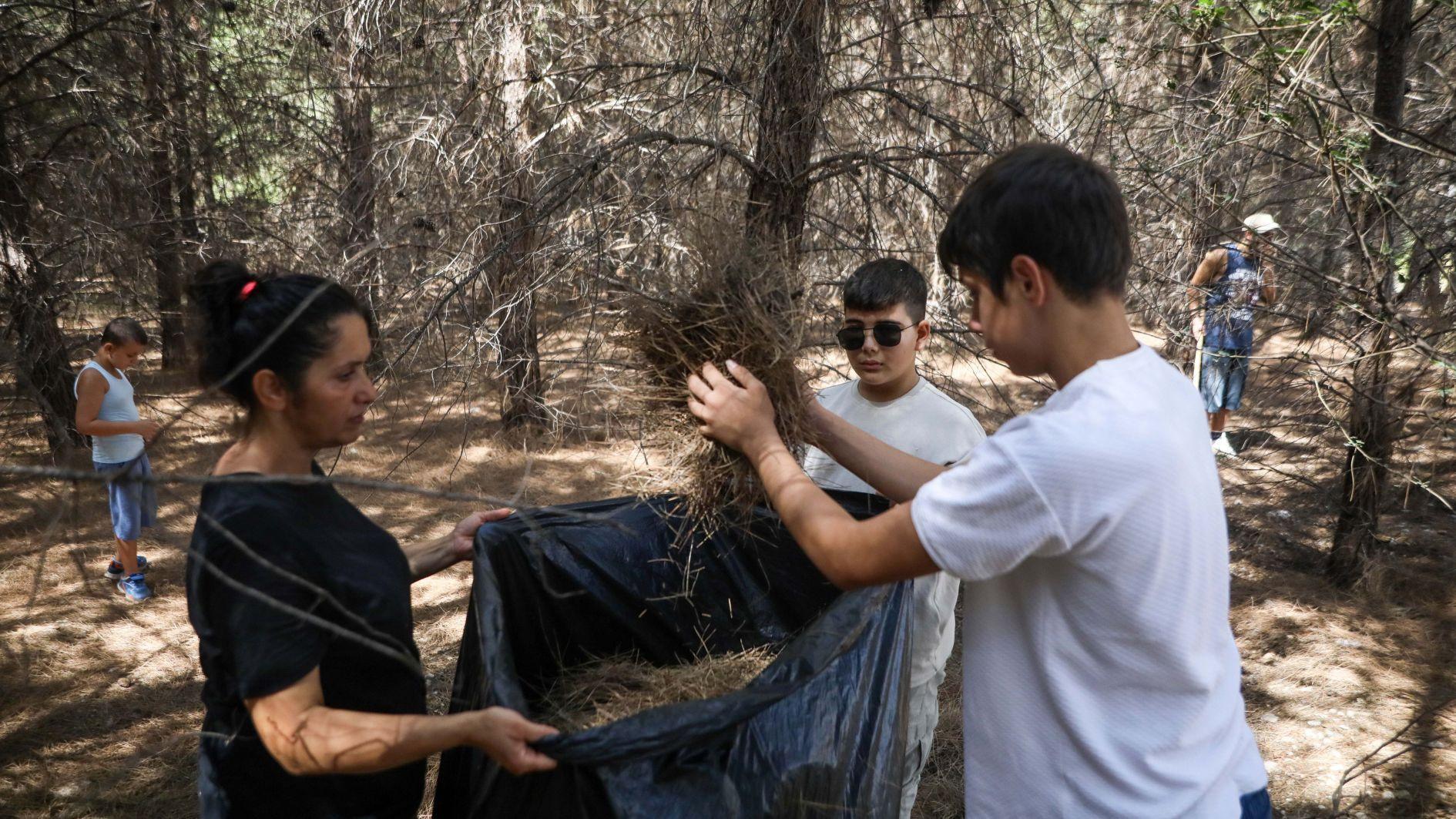 Schools in Türkiye to open with focus on forest preservation amid wildfire fallout