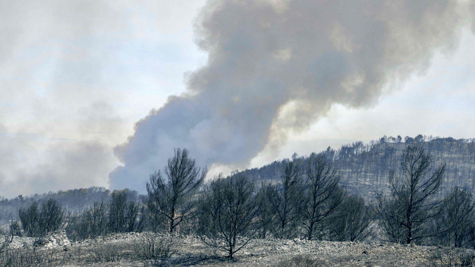 One dead in wildfire in southern France