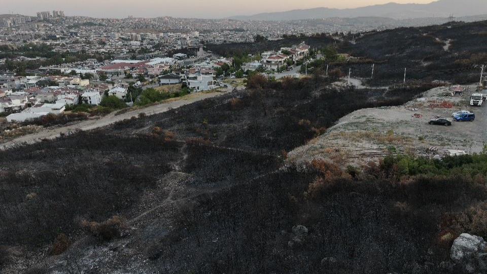 Wildfires sweep western Türkiye, ravaging thousands of hectares
