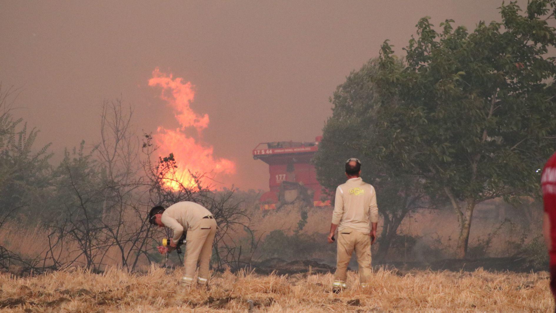 Çanakkale forest blaze closes key heritage site