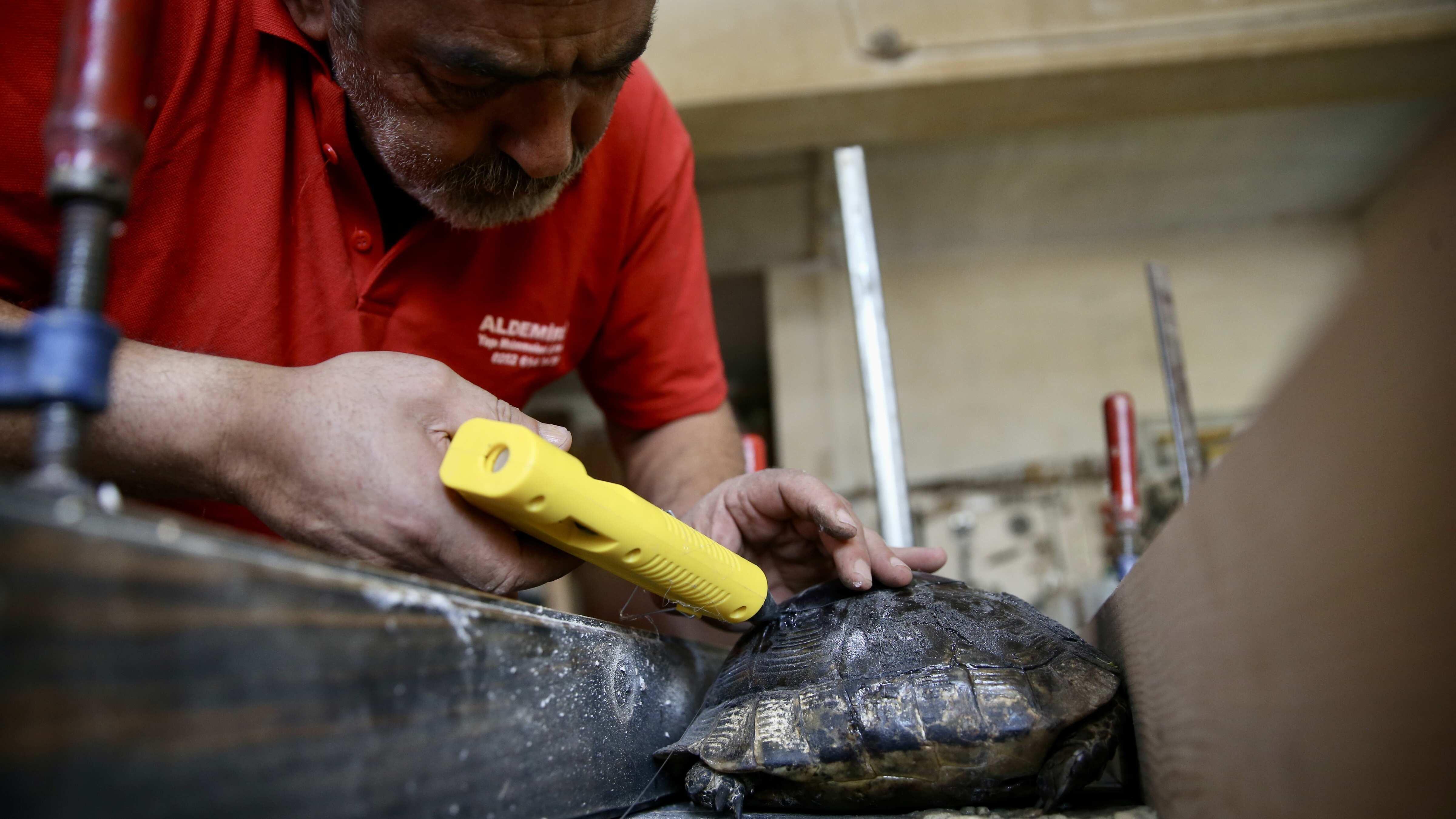 Local woodcarver repairs turtle’s broken shell