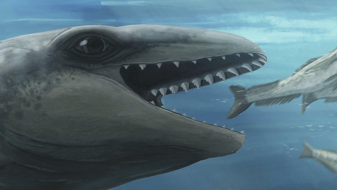 Scientists discover an ancient whale with a Pokémon face