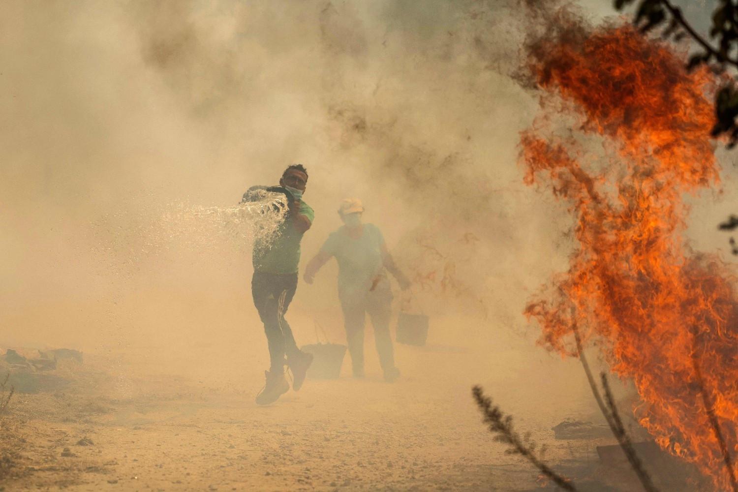 Portugal wildfires claim third victim: Officials