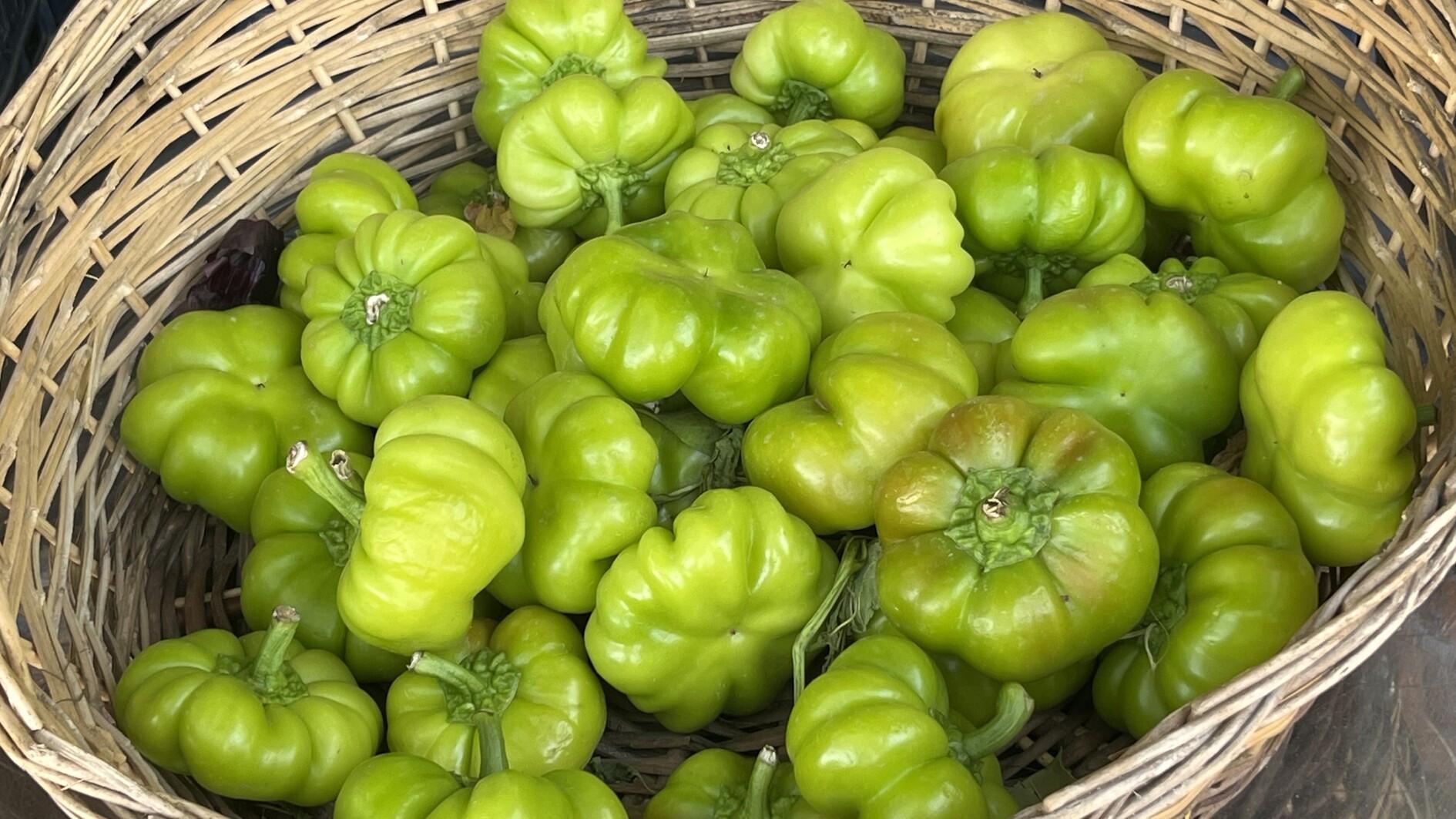 In search of lost taste Kavata: Tomato, pepper or eggplant