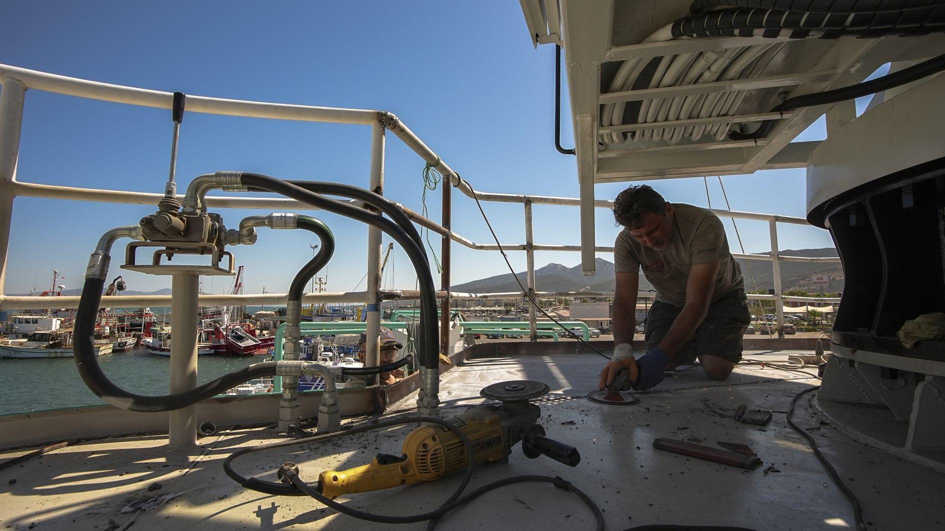 Fishing season to open with historic anchovy prospects, bonito shortage