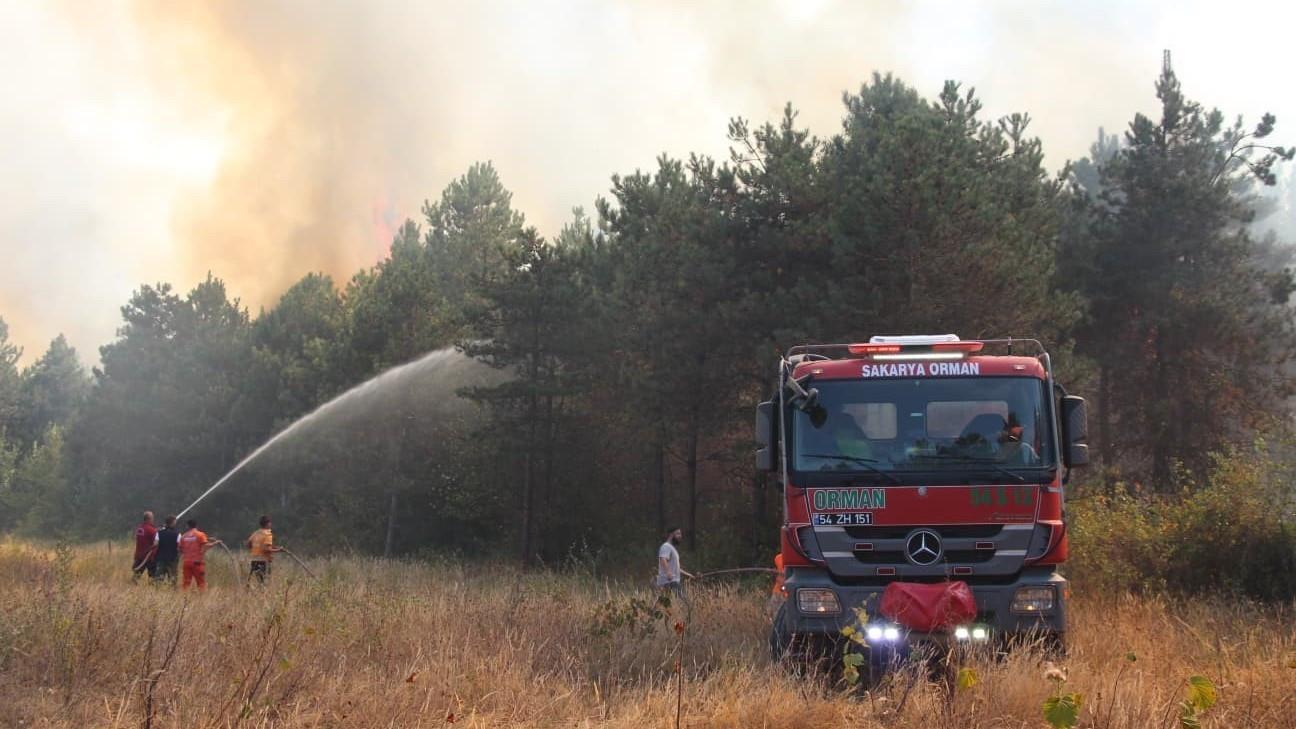 Climate change made deadly wildfires in Türkiye, Greece more fierce, study finds
