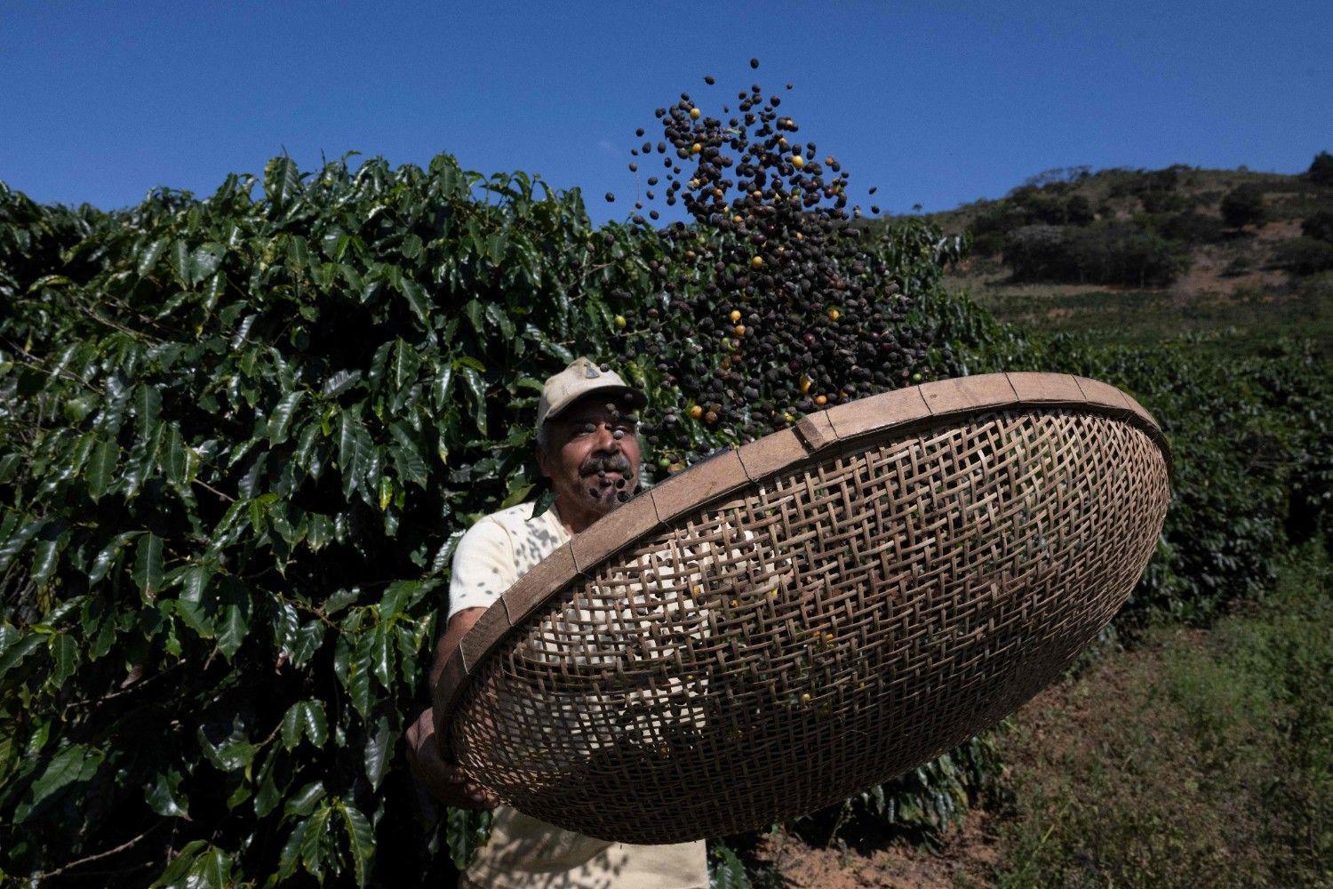 Brazil mulls reprisals for 50 pct Trump tariffs: govt sources
