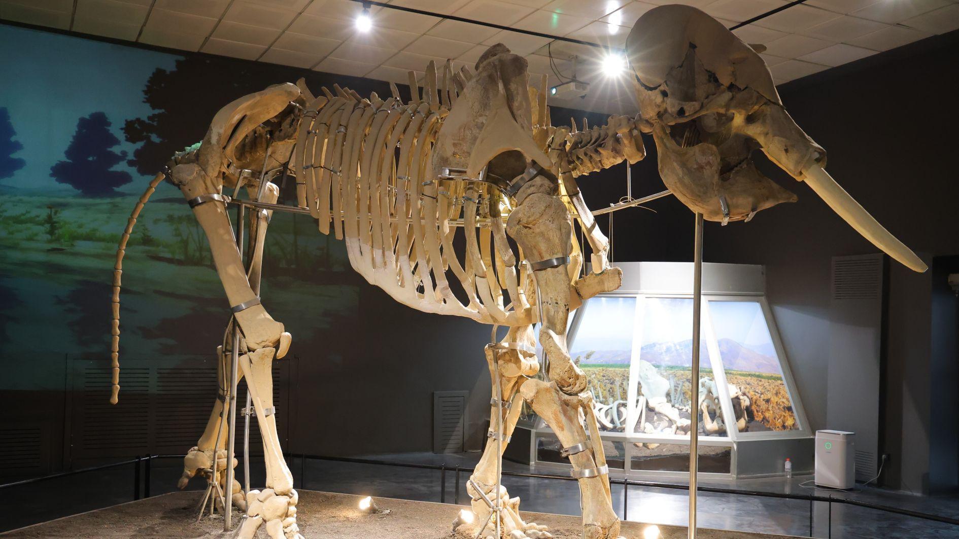 Kahramanmaraş Museum reopens after earthquake restoration