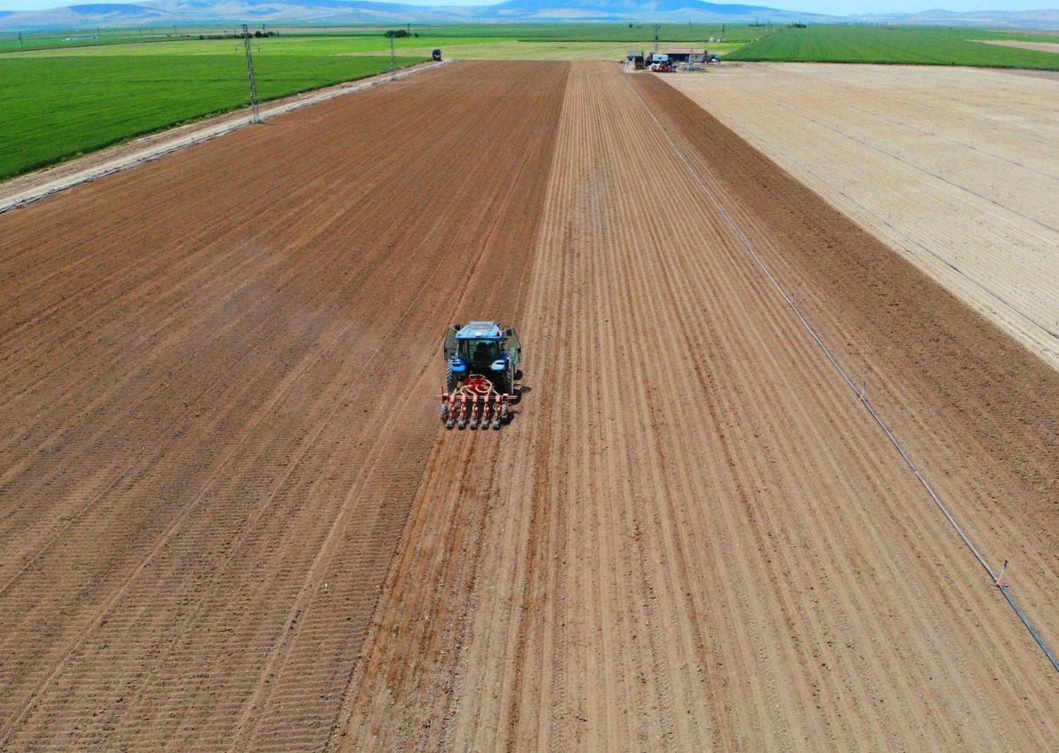 First leasing of unused farmland to begin in November