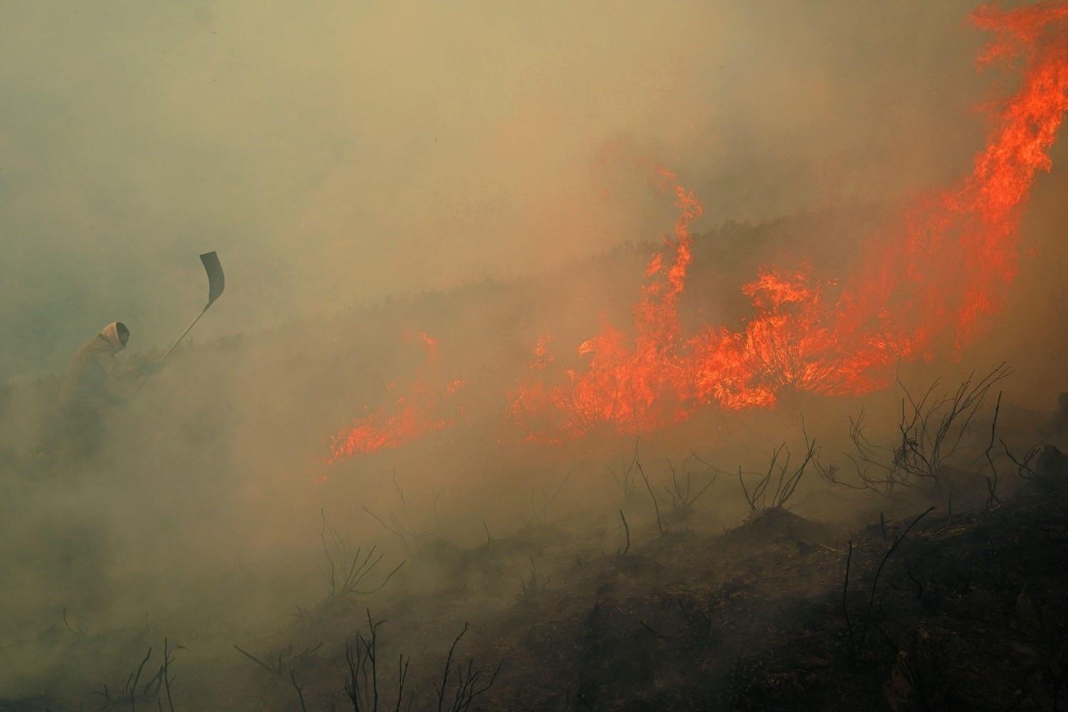 Wildfires producing witches brew of air pollution: UN