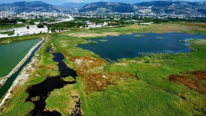 Hatay’s Milleyha wetland declared natural conservation site
