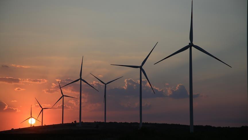 Wind and solar drive surge in August power generation