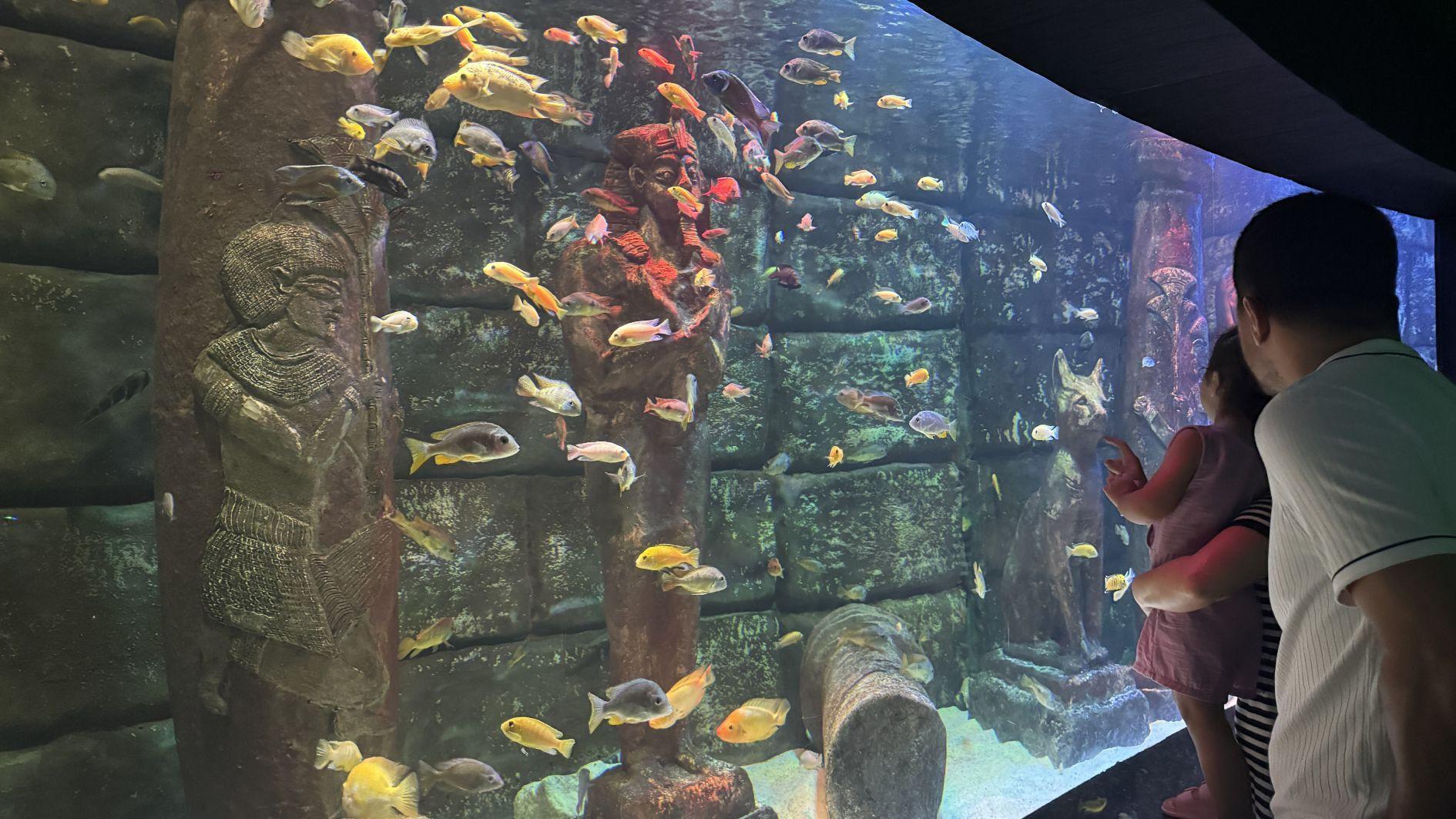 Antalya Aquarium draws foreign tourists