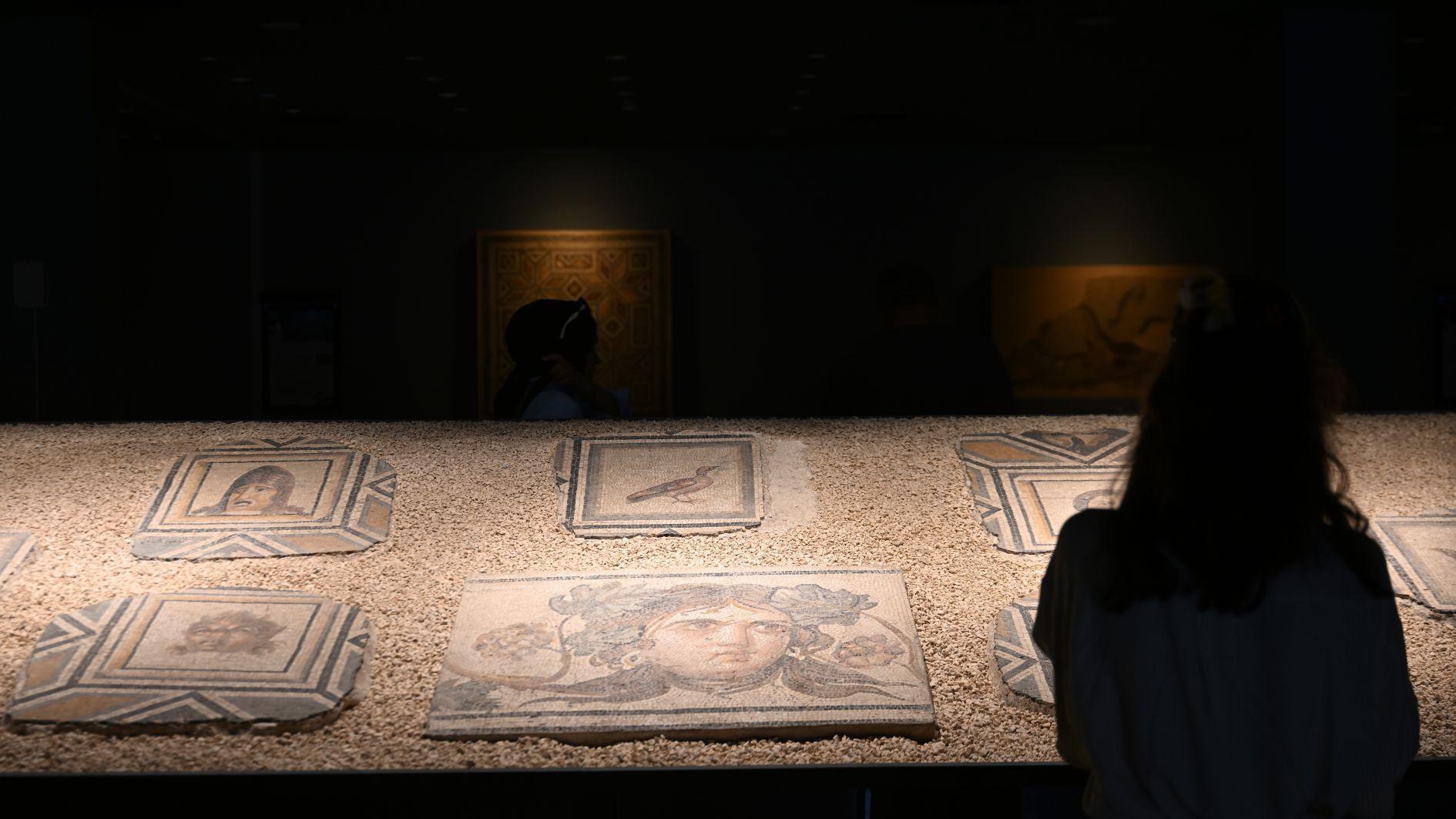 Zeugma Mosaic Museum breaks visitor record