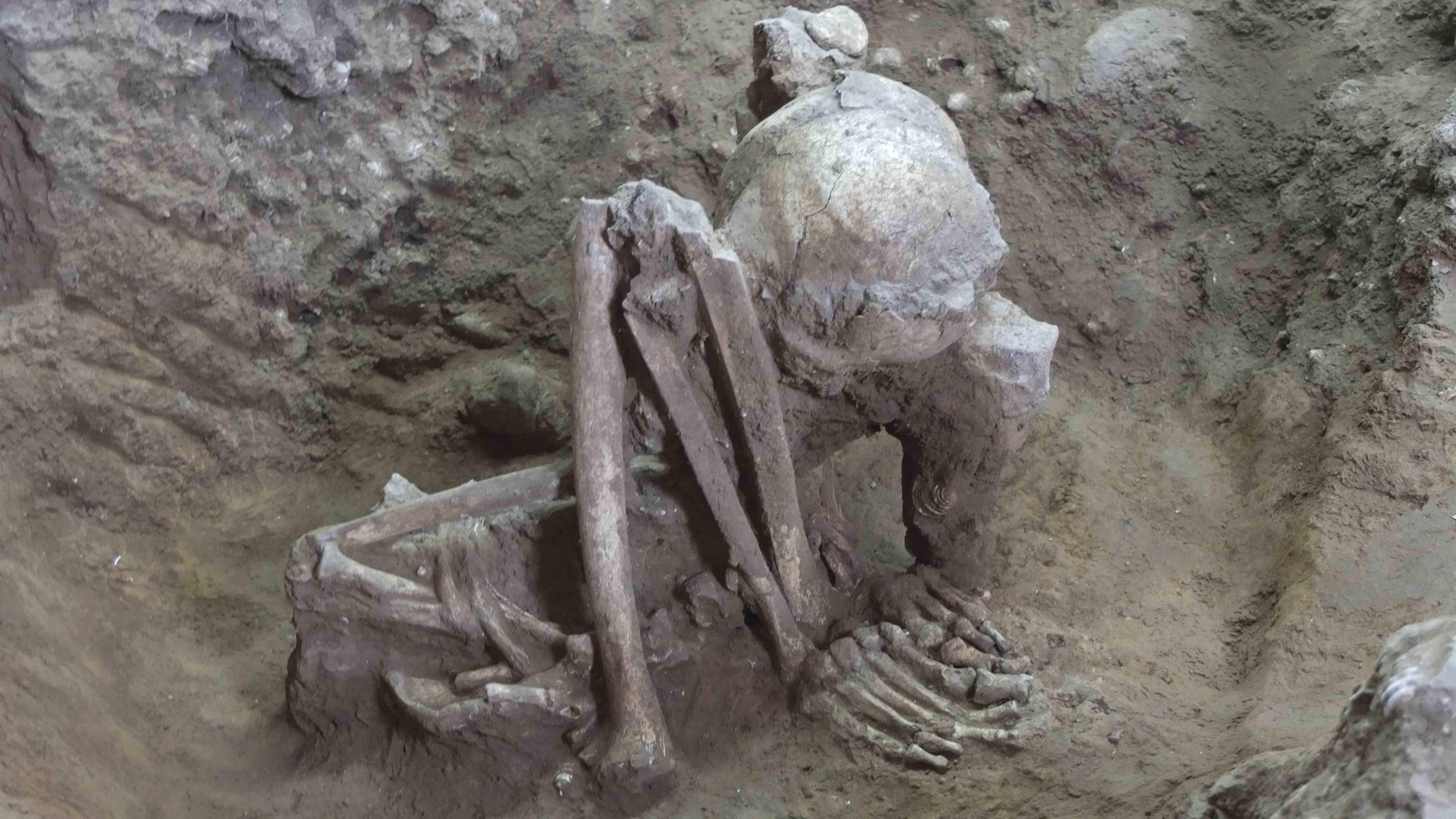 Oldest mummies date back 12,000 years