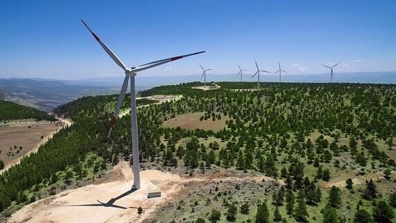 Türkiye’s renewable power capacity tops 74 GW as of August