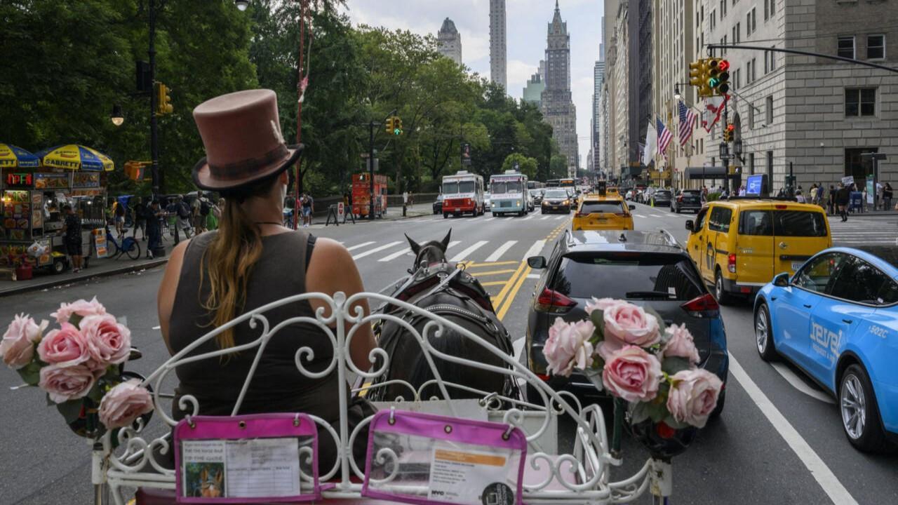 Central Park horse-drawn carriages face ride into the sunset