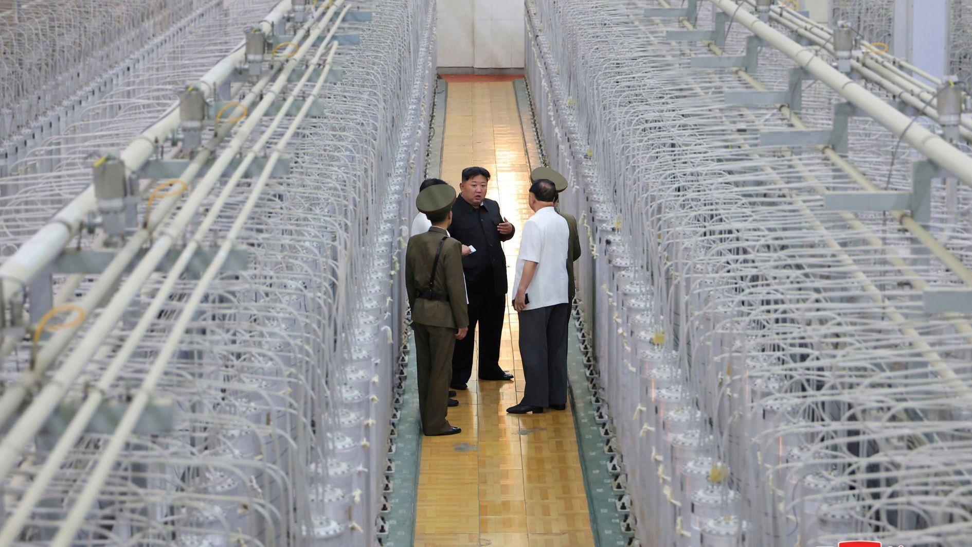 North Korea may hold 2 tons of highly enriched uranium: Seoul