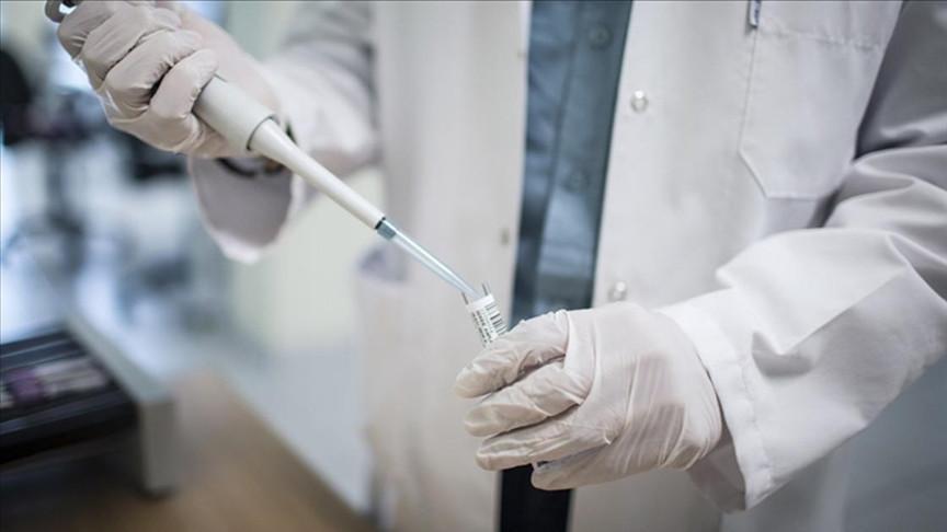 Türkiye to launch domestic production of SMA drug by next year