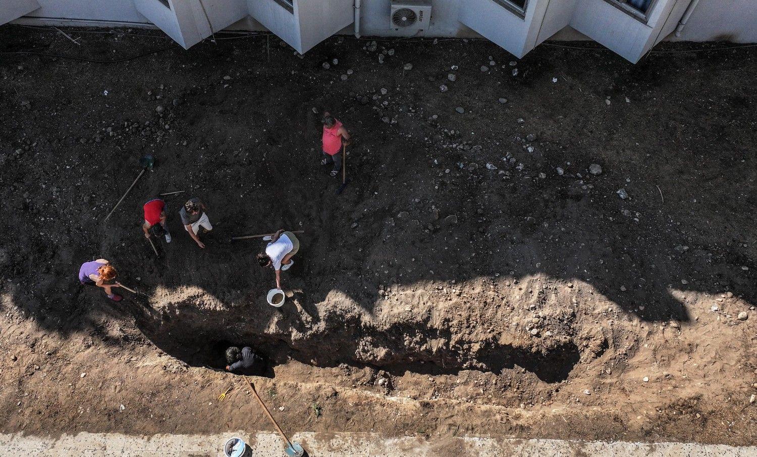 Fin whale skeleton being unearthed in southern Türkiye