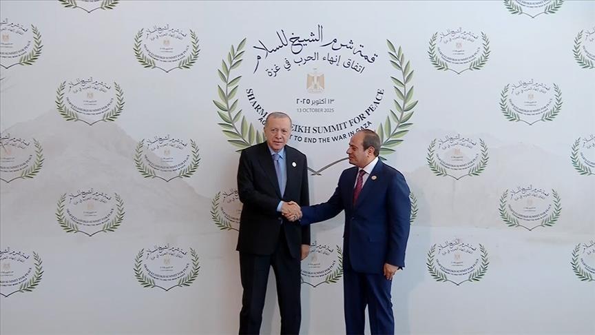 Erdoğan holds diplomatic talks ahead of peace summit on Gaza