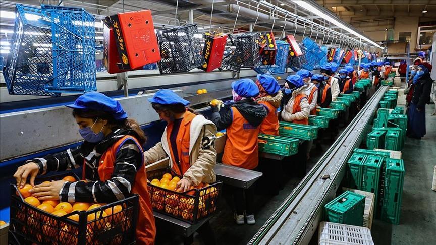 Banks channel largest share of loans to manufacturing sector