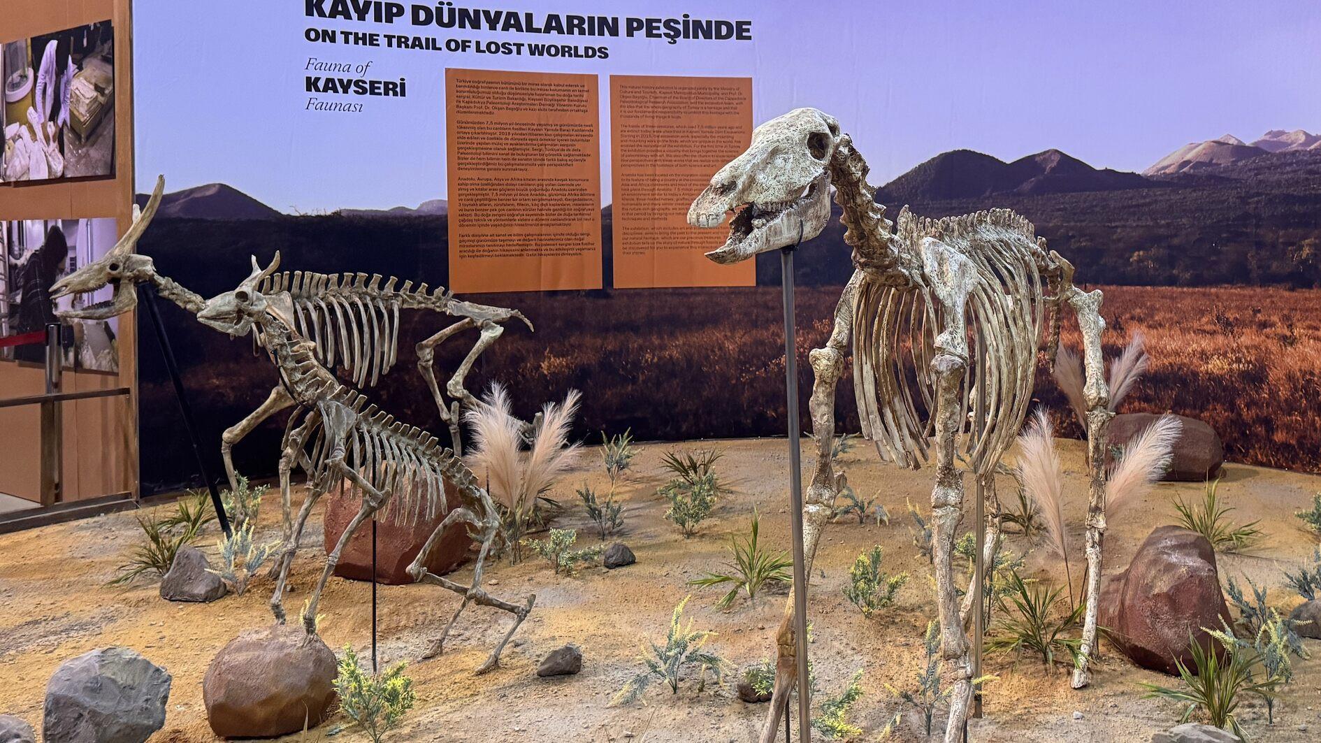 Ancient animal fossils restored with 3D printing