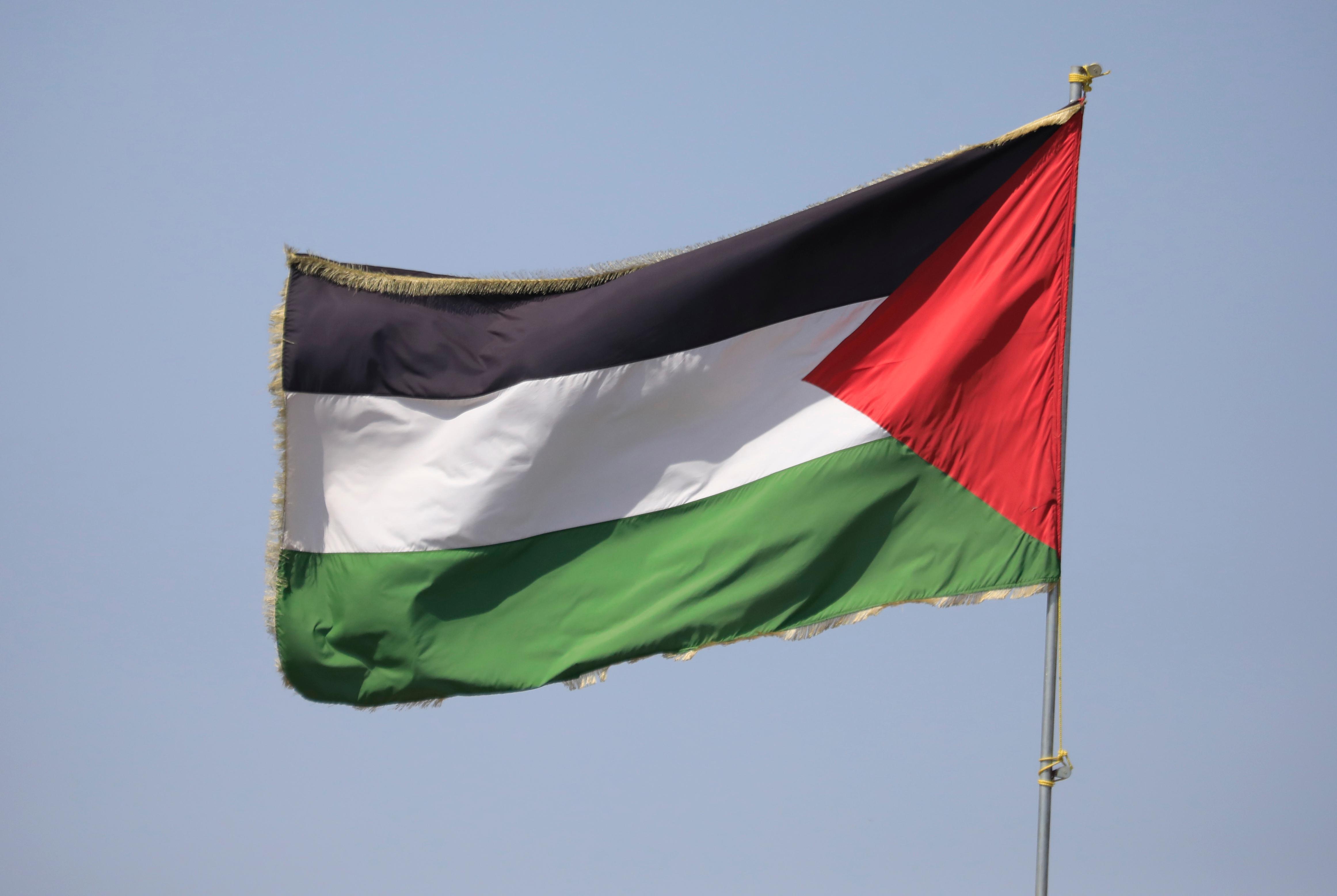 OIC urges Security Council to back Palestines full UN membership