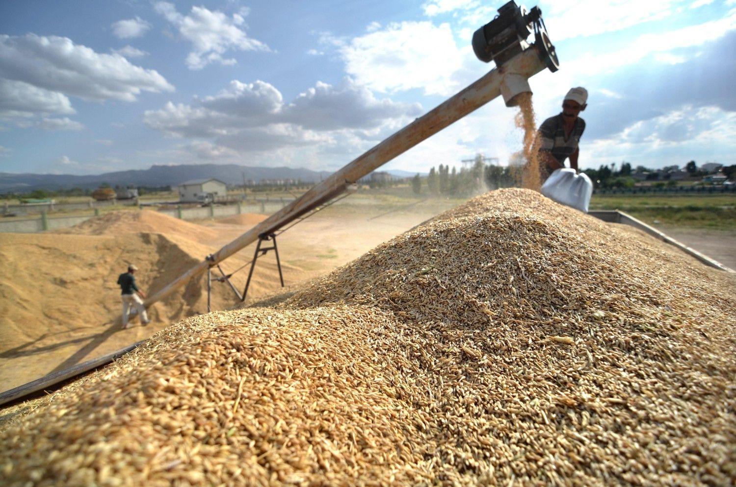 Crop output forecast shows decline in 2025