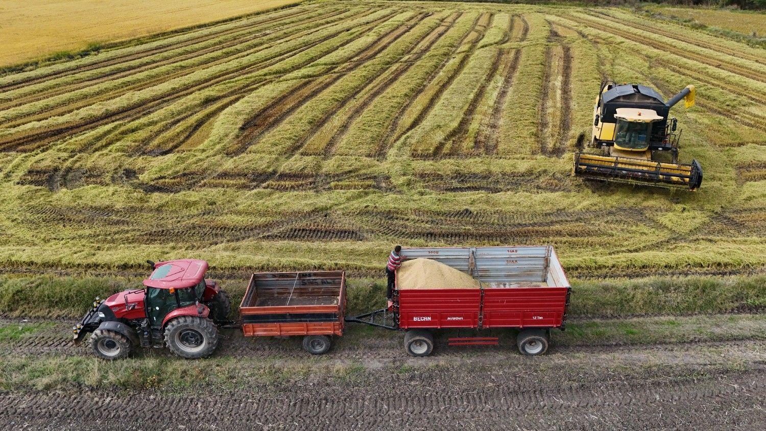 TARSİM pays out over $640 million in agricultural insurance claims