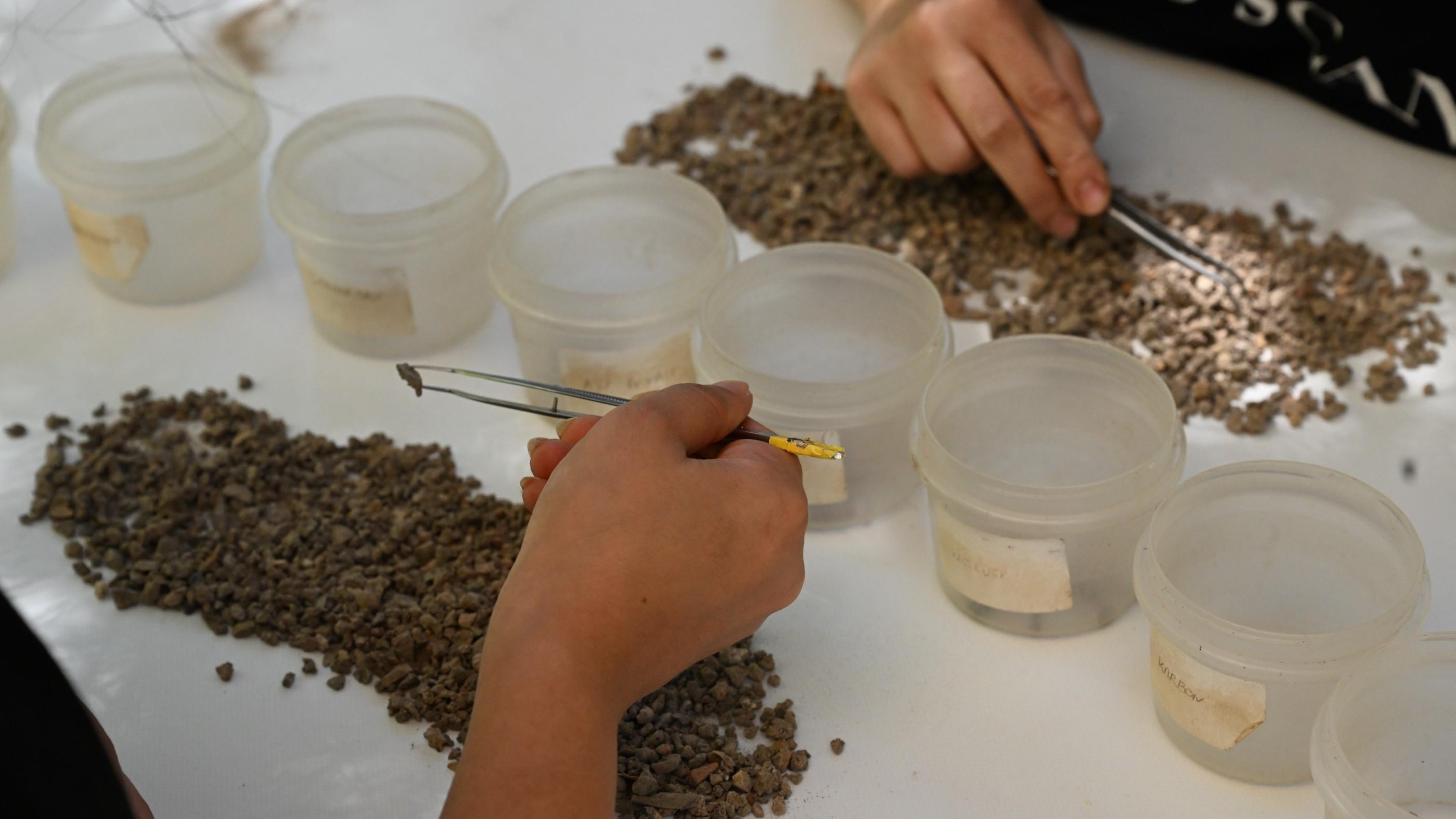 Bone tools, beads unearthed in Direkli Cave