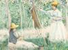 Fake Monet, Renoir paintings identified using AI