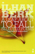 Selected poems of İlhan Berk